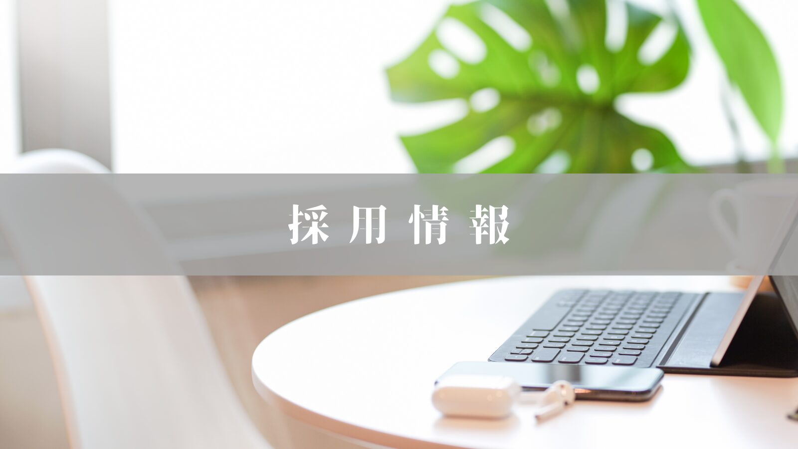 採用情報